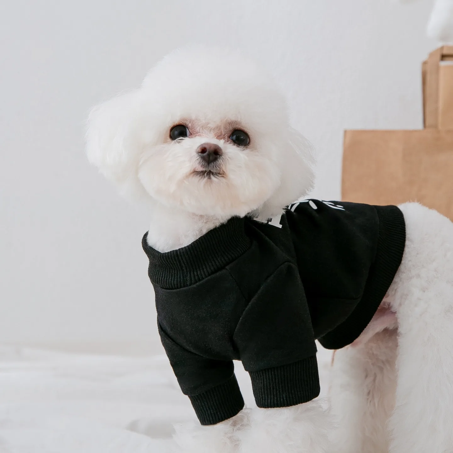 

Sweet Pet Sweatshirts Puppy Letter Print Clothes Teddy Winter Warm Undershirts Maltese Soft Two-piece Pullovers