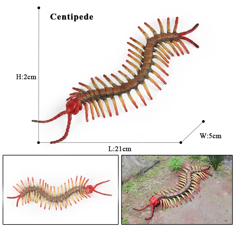 Oenux Simulation Libelle Heuschrecke Tausendfüßler Wildes Insekt Tiere Modell Actionfiguren Miniatur Bildung Sammlung Kinderspielzeug – Detail 11
