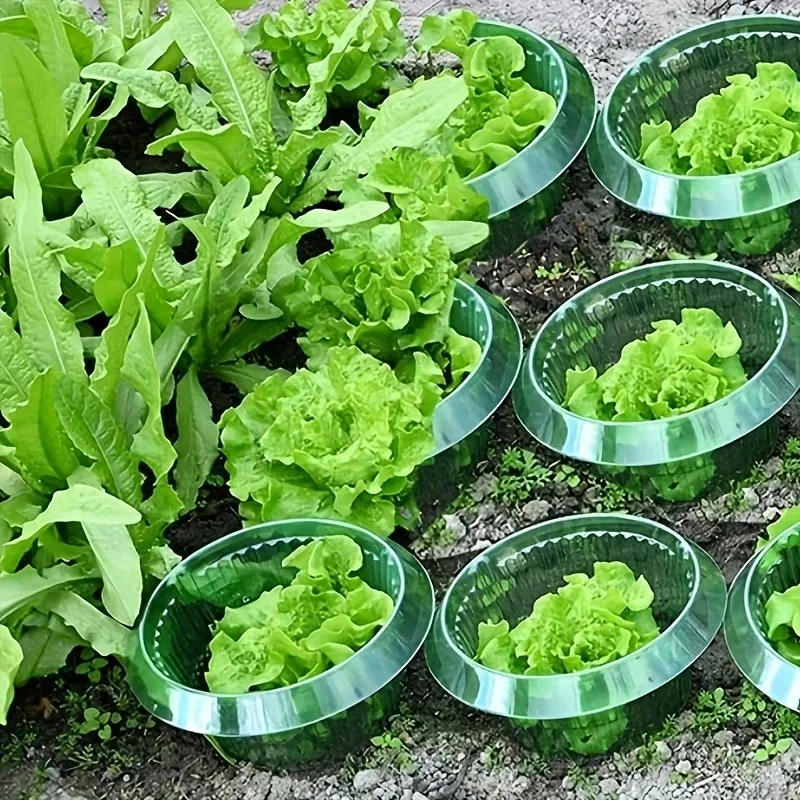 

15/25pcs Green Transparent Round Snail and Slug Protector Reusable Plant Cover Slug and Snail Plant Protectors Pest Deterrent