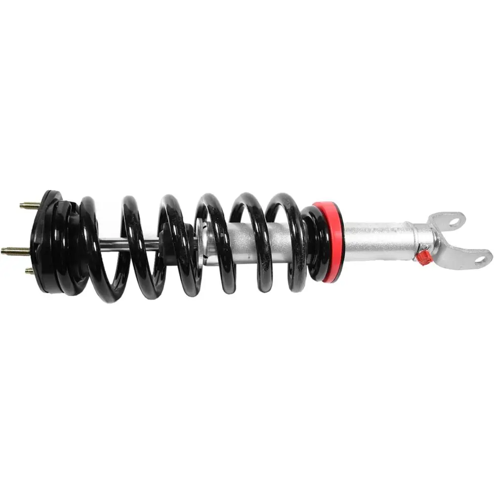 

RS999930 Quick Lift Loaded Strut