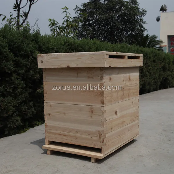 2026 High-Quality E… - image