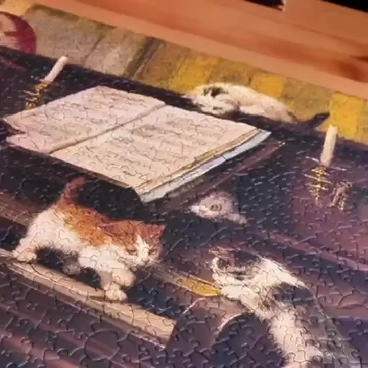 [ปริศนาหมาป่าแสงจันทร์] กล่องปริศนาหมาป่าแสงจันทร์ 1 กล่อง จำนวน 1000 ชิ้น ขนาด 50x70 ซม./19.7x27.6 นิ้ว ปริศนาตกแต่งบ้านขนาดใหญ่สำหรับผู้ใหญ่