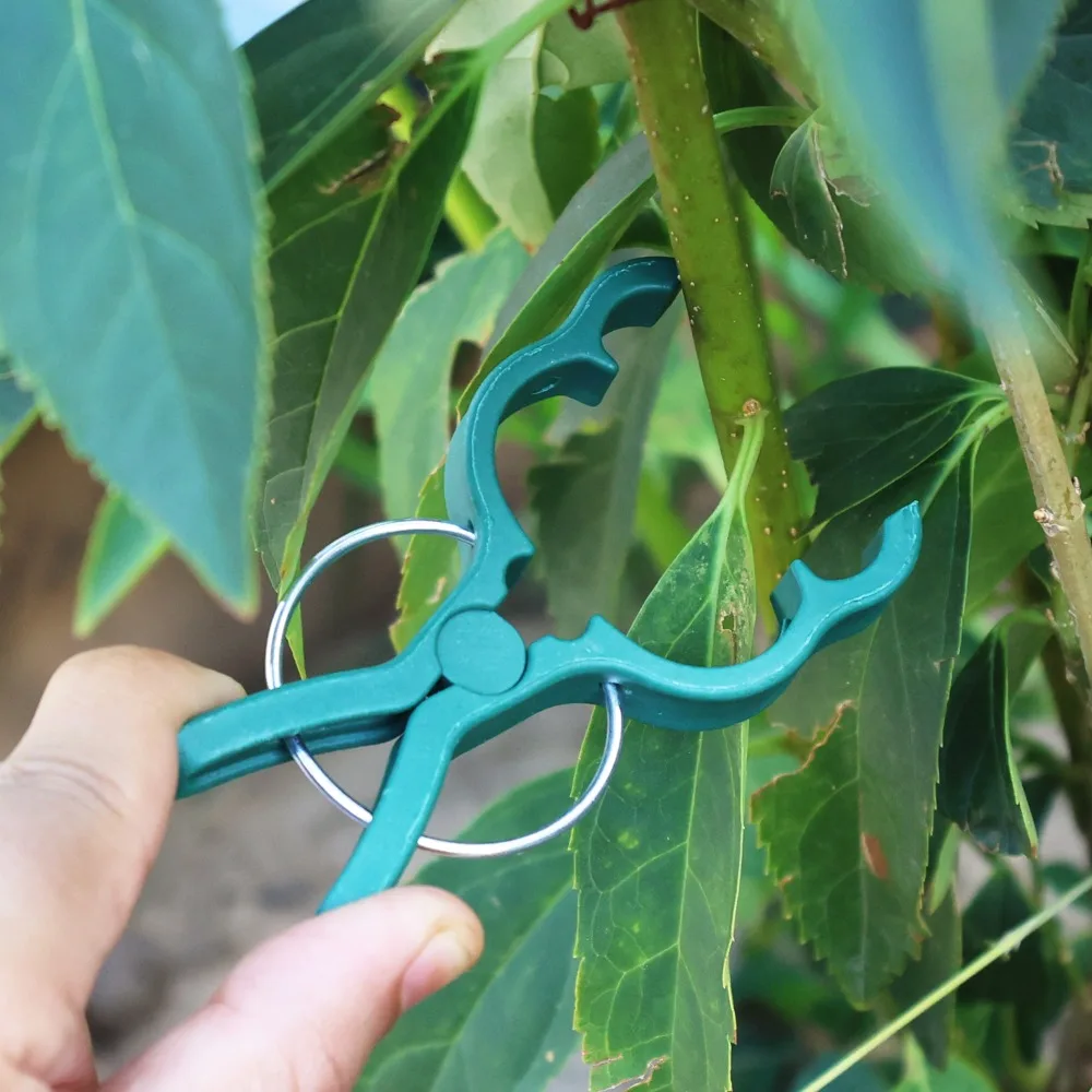 50/10PCS Plant Vegetable Support Grafting Clips Cucumber Eggplant Watermelon Vine Fixing Clip Plastic Household Gardening Tool