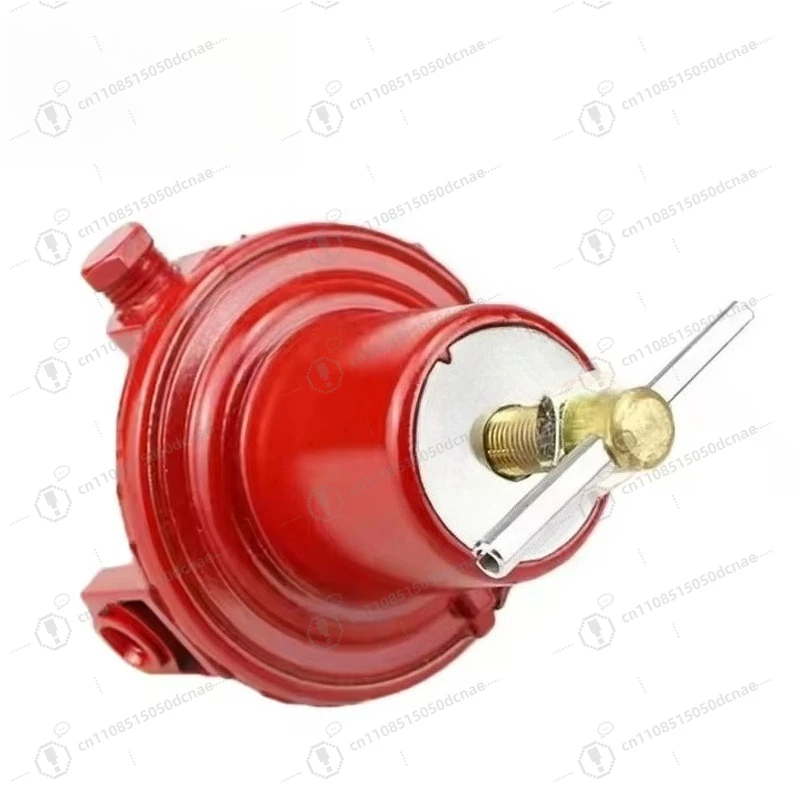 REGO 597FB Industrial  Pressure Regulator First Stage Reducing Valve