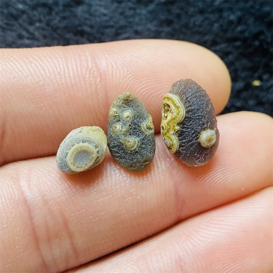 Natural agate Gobi Energy Stone Crystal Healing Specimens Original Mineral
