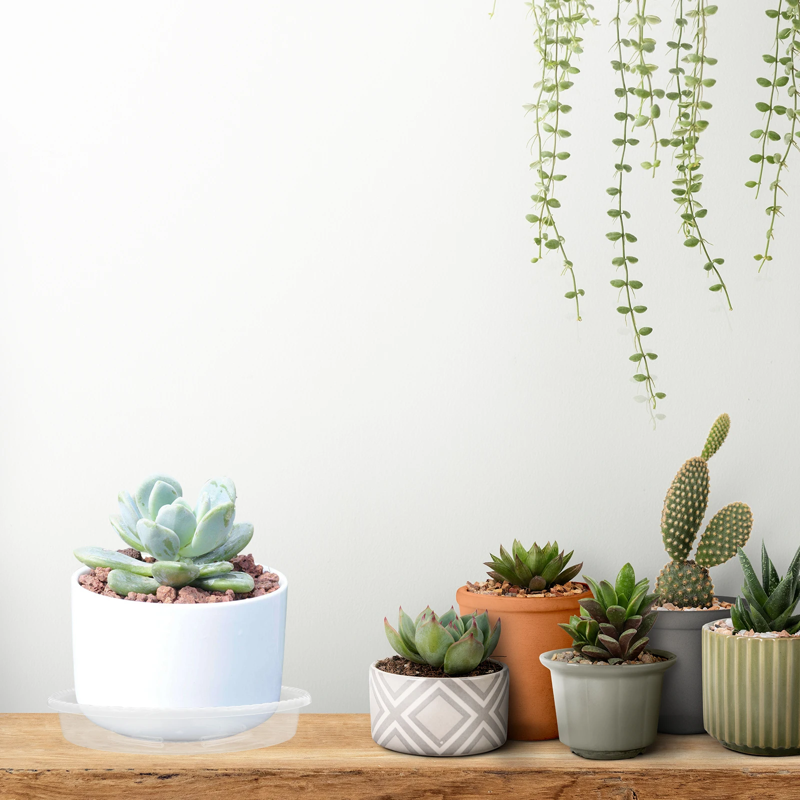 

30 Pcs Plastic Drip Tray Flower Pot Plates Water Holding Trays Flowerpot Saucers Drainage Plant Pots Indoor