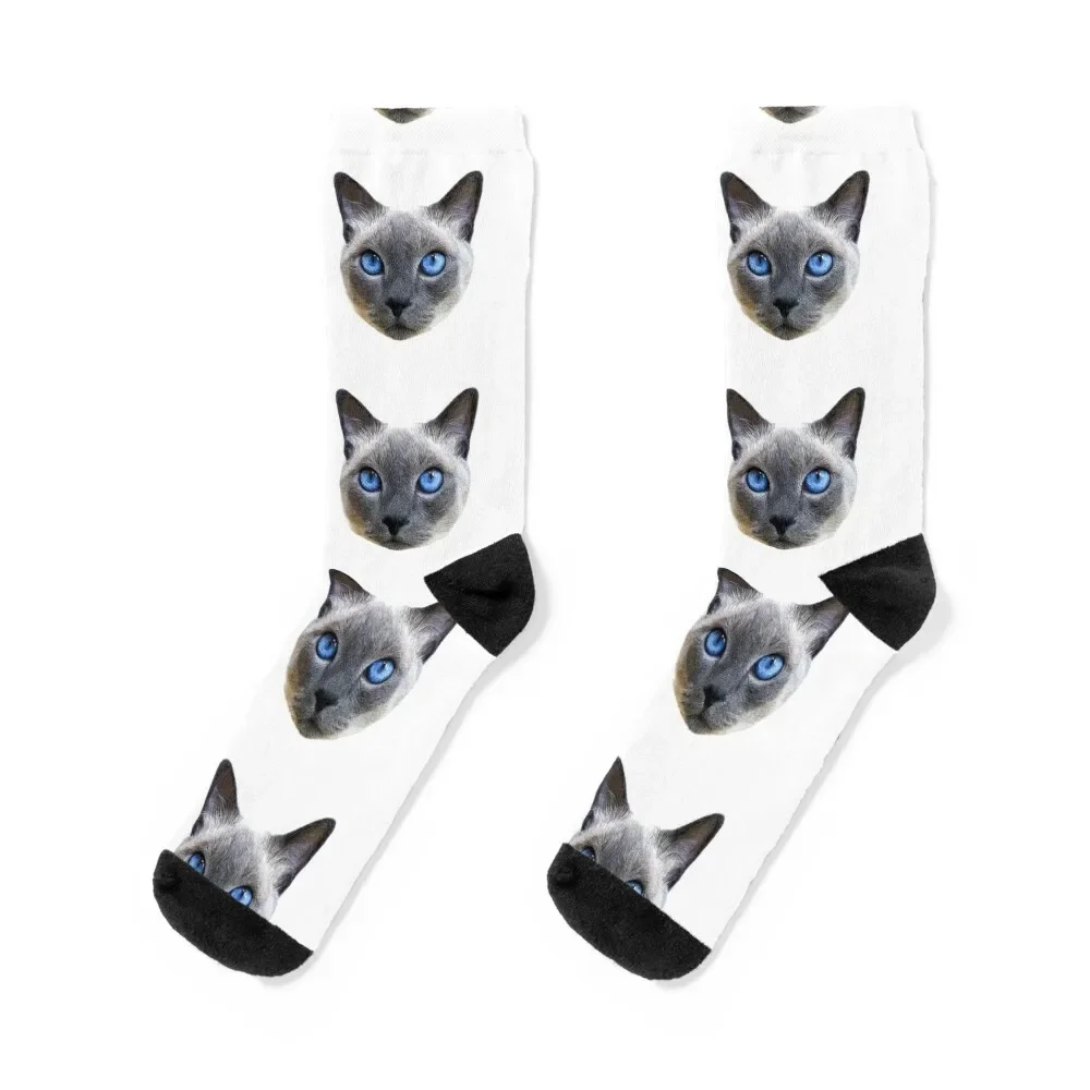 Siamese Cat Blue Eyes Socks short gym Man Socks Women's