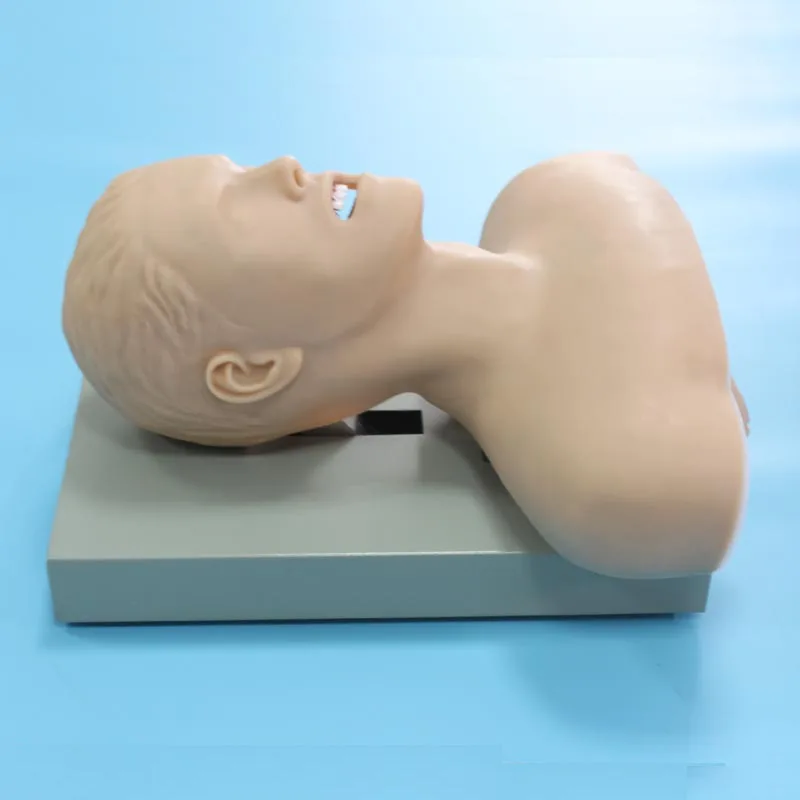 

BIX-J51 PVC Material First Aid and Emergency Advanced Airway Intubation Model (With alarm Device)