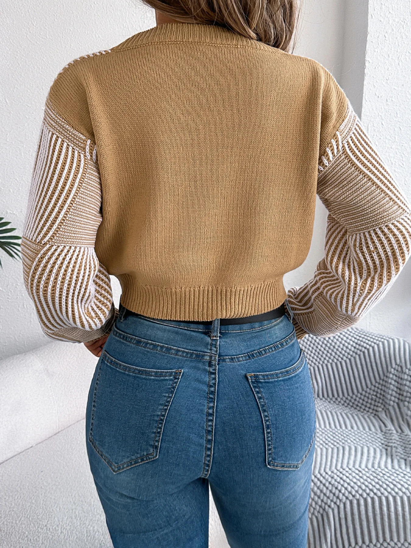 Colorblock Striped Crew Neck Cropped Pullover Sweater Casual Fall Winter
