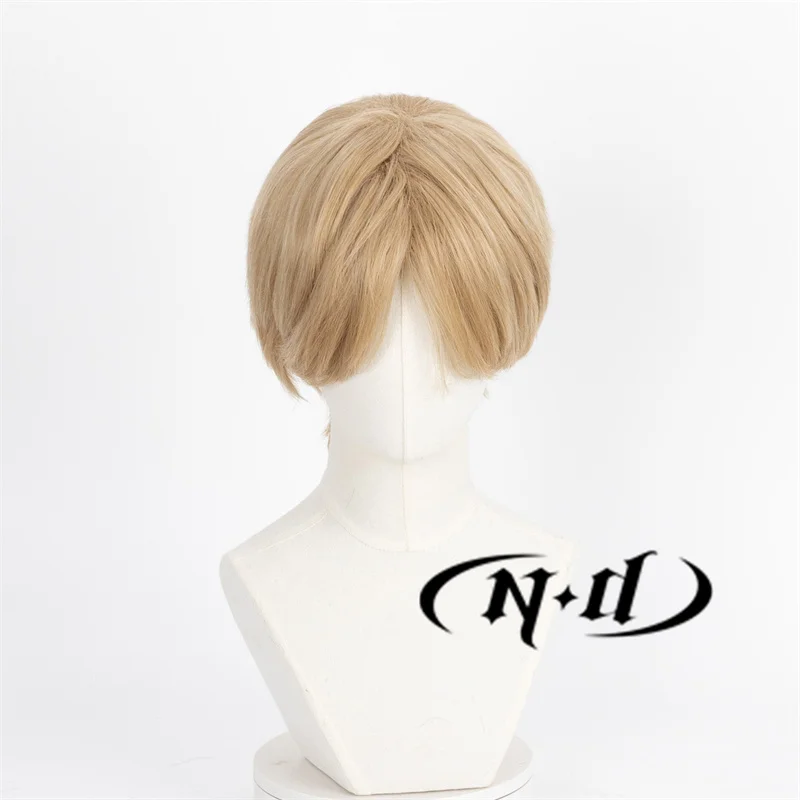 ND Takashi Natsume Cosplay Wigs Natsume's Book of Friends Anime Cos Hair Wigs for Costume Theme Party Heat Resistant Synthetic