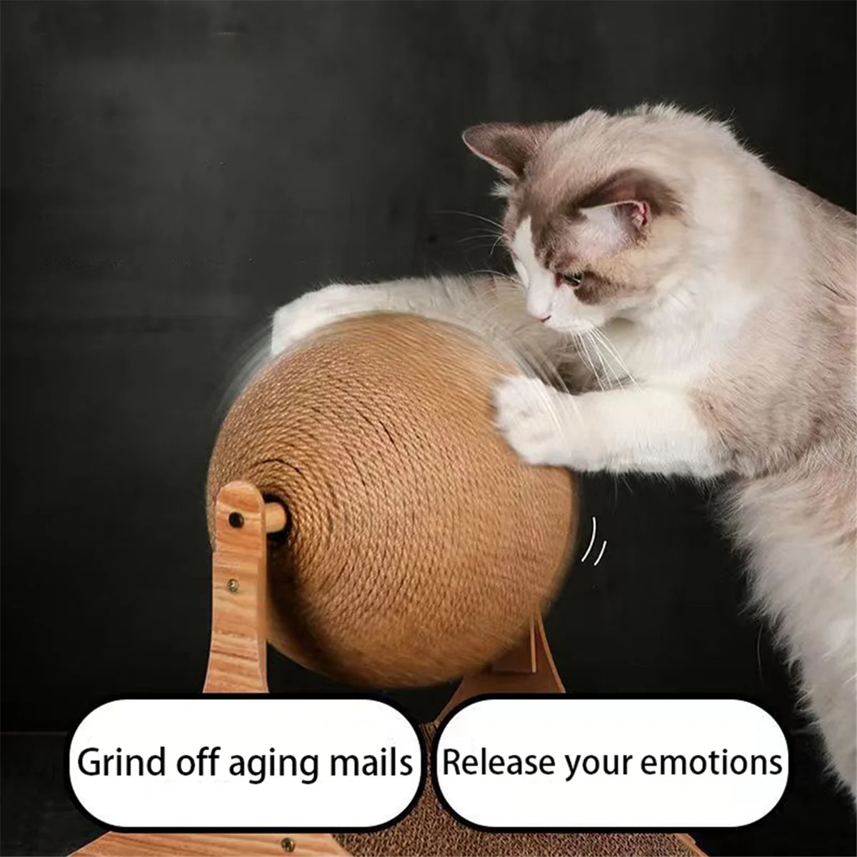 【2025{الإلكترونيات】{لوحة خدش للقطط بعجلة فيريس، كرة خدش للقطط، مبراة مخلب مقاومة للاهتراء، ألعاب ترفيهية للقطط