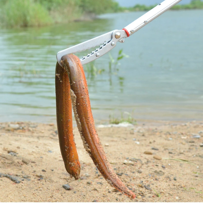 Imagem -02 - Alongado e Engrossado Snake Catcher Pinças Retráteis Grande Abertura Clipe de Enguia Loach Clamp Stick Reptile Catcher Grabber