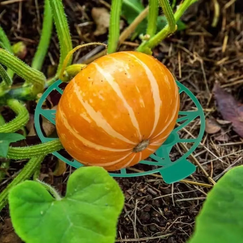 Support Holder Plastic Watermelon Stand Anti- Rotting Plant Support Fruit Bracket Hollow Out Stable Design Fruit Tray Vegetable