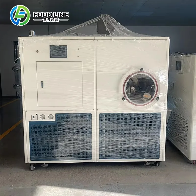 Customized Separate Cooling and Vacuum Module Household Lyophilization Equipment Small Home Freeze Dryer Food Freeze Drying