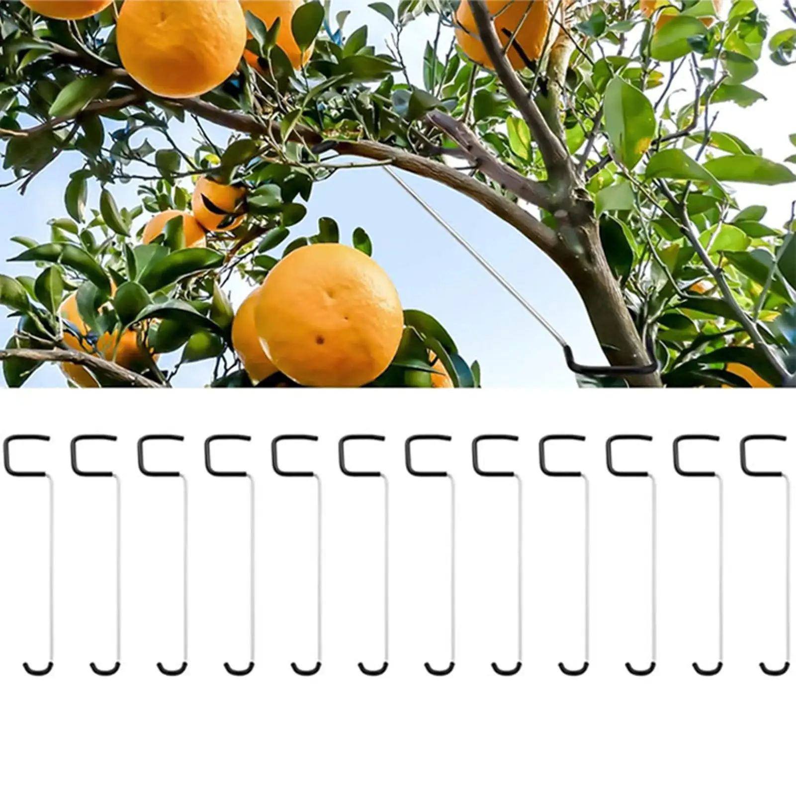 

Stainless Steel Reuseable Branch Spreader Metal Fruit Tree Branches Holder Plant Support Stand For Outdoor Farm Planting