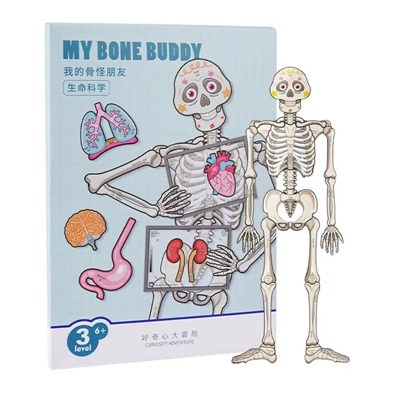 Organ Of Human Match Educational Learning Preschool Toys Human Body Puzzle Anatomy Play Set Body Puzzle For Toddler Homeschool