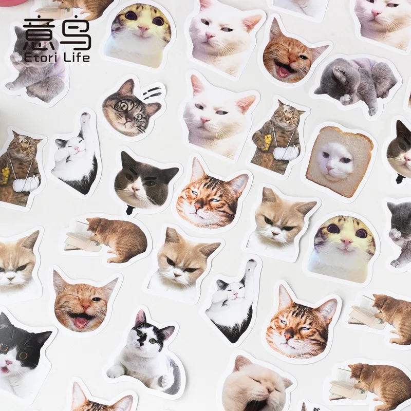 46 PCS/box Cartoon Cute Society Mischievous Expression Cat Student DIY Stationery Laptops Decoration Stickers Hand Account