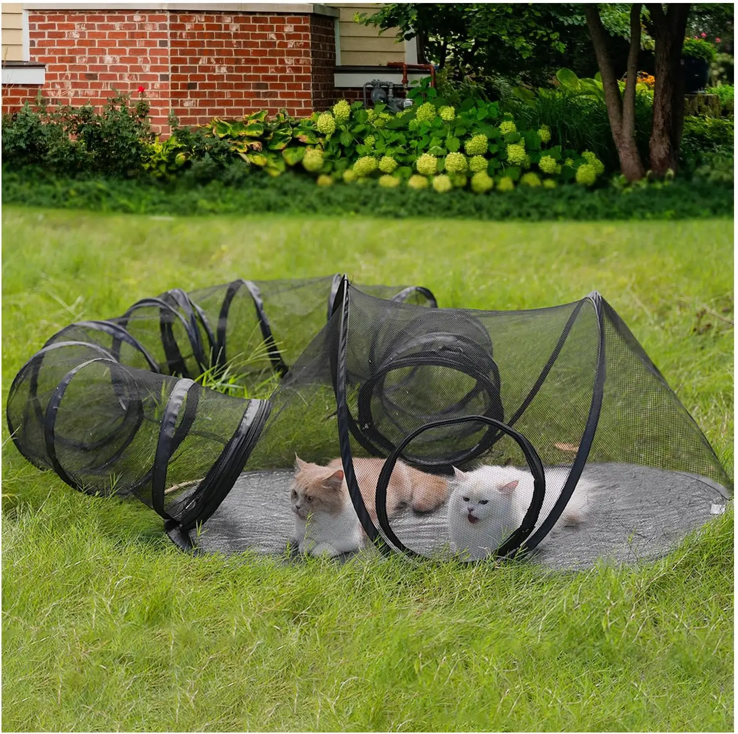 

Portable Outdoor Cat Enclosure with Tunnel, Large Pet Tent for Cats and Small Animals, Easy Setup and Storage