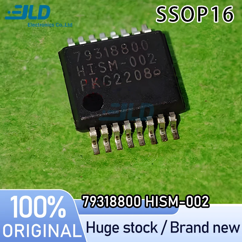 

(1-5piece) 100% New 79318800 HISM-002 SSOP16 Chipset Professional one-stop ordering Adequate stock Chip Electronics
