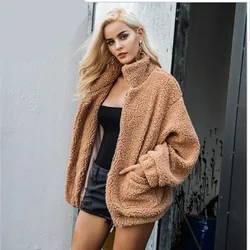 Autumn Winter Faux Fur Coat Women 2025 Casual Warm Soft Zipper Fur Jacket Plush Overcoat Pocket Plus Size Teddy Coat Female