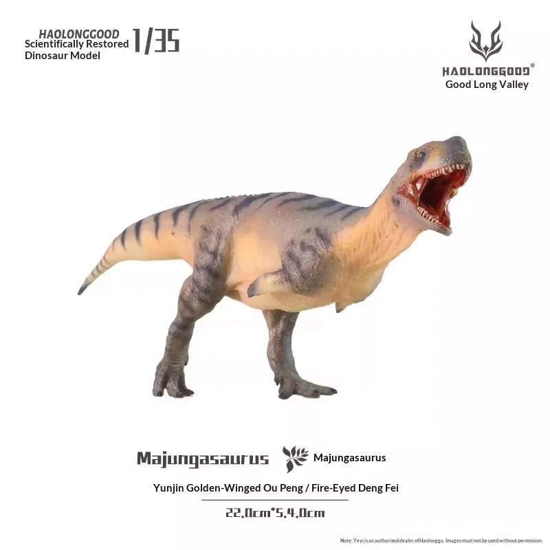 

Haolong Valley [1:35 Majungasaurus] Jurassic dinosaur model gift toy hand-made realistic animal model dinosaur ornaments