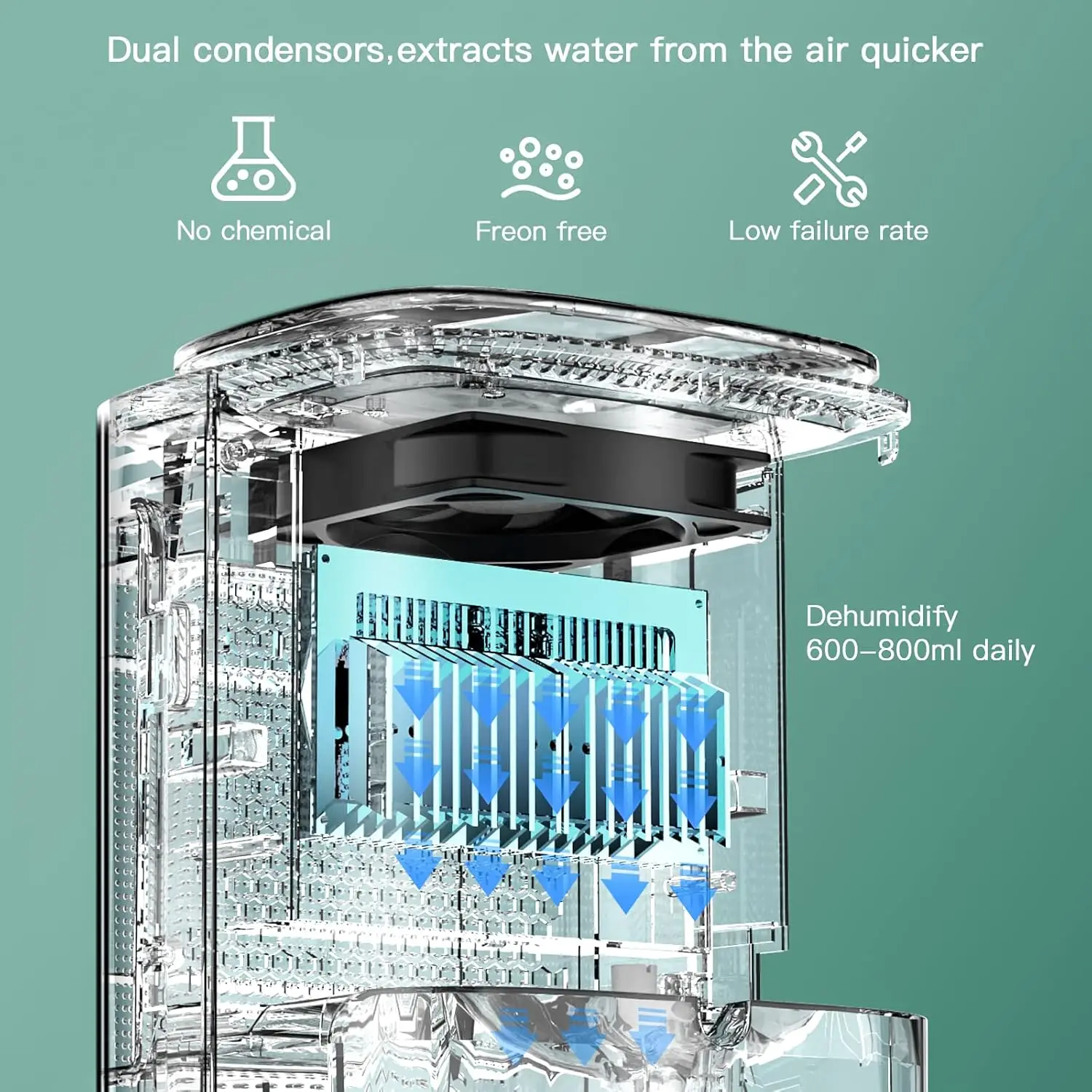 2026 New Dehumidifier Air Purifier Combo  Filter and Negative Air Ion Function Water Tank with Drain Hose 24hrs Auto-Off Timer