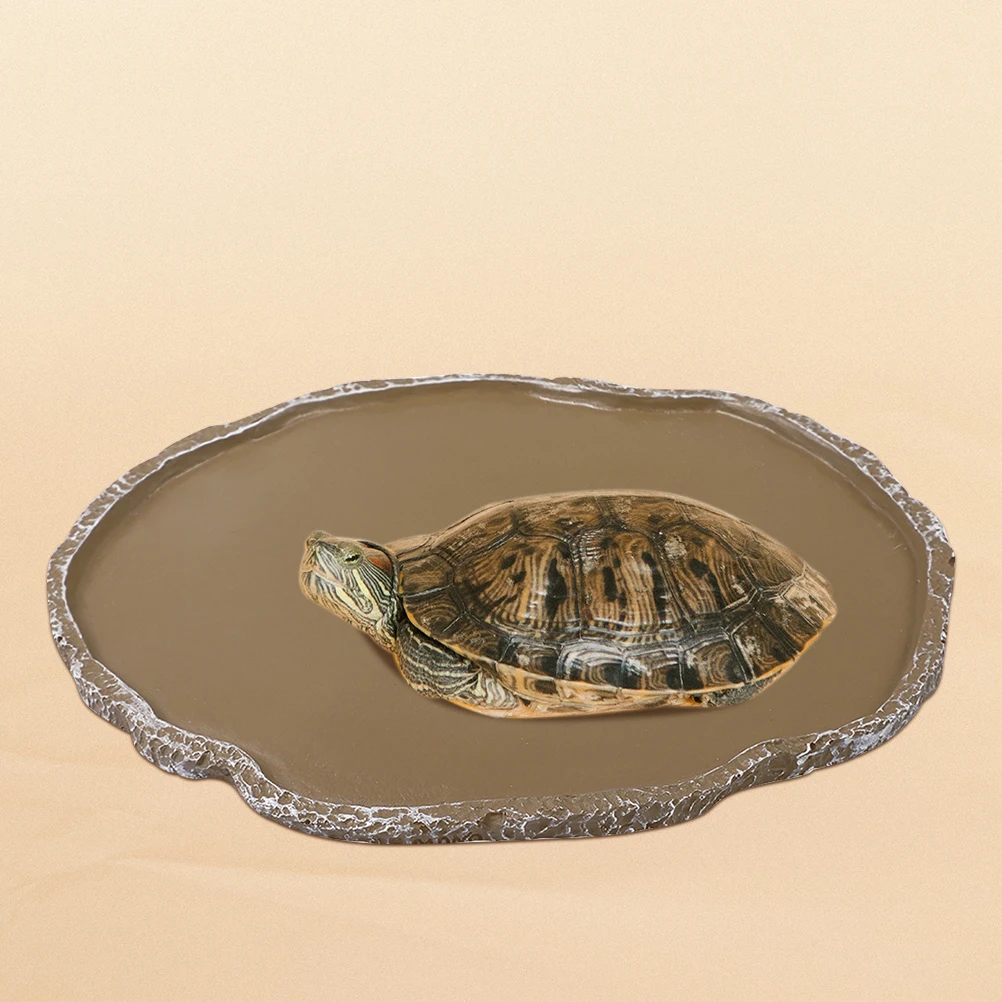 

2pcs Resin Pet Food Bowl Reptile Water Dishes Lizard Feeders Chameleon Crab Bearded Accessories Sturdy