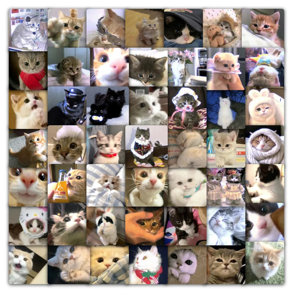 59 ملصقًا للقطط الغاضبة - شارات قطط لطيفة للديكور والحرف اليدوية لتسجيل متجر YourLife #1