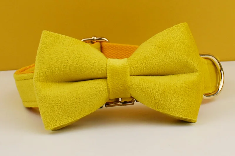 Gelbes Samt-Hundehalsband und Leinen-Set für kleine, mittelgroße und große Hunde, individuell graviertes Namensschild, Heimtierbedarf, Hundeleine, Velvet04 – Detail 8
