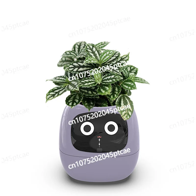 

7 Smart Sensors and AI Chips Make Raising Plants Easy and Fun Ivy Smart Planter Endless Fun Over 49 Rich Expressions