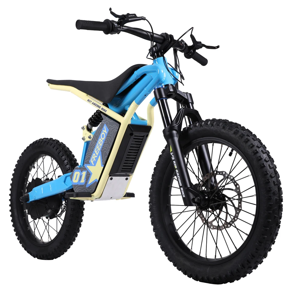 FREEBOY V2 Kids Electric Bicycle, 20‑Inch Tires, Hydraulic Disc Brakes Electric Bicycle, 48V 13Ah Battery, Off‑Road Kids Electric Bike image 3