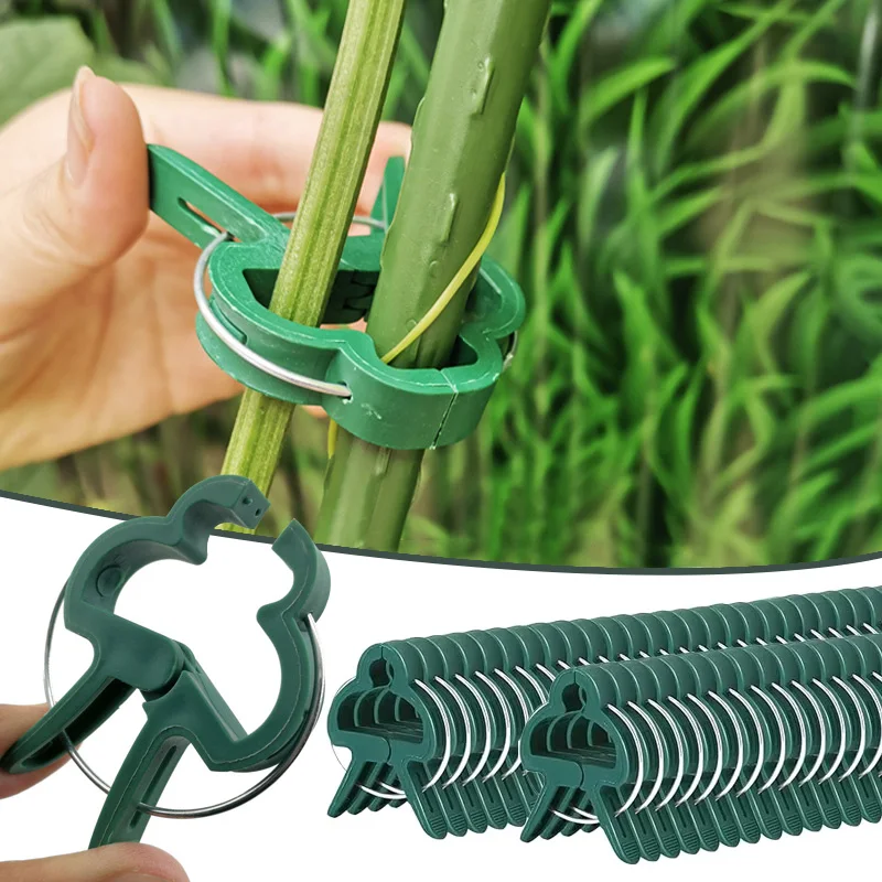

20Pcs Plant Fixed Clips Reusable Garden Greenhouse Clamp Bracket Fixed Plants Vine Flower Seedling Stem Support Tomatoes Tools