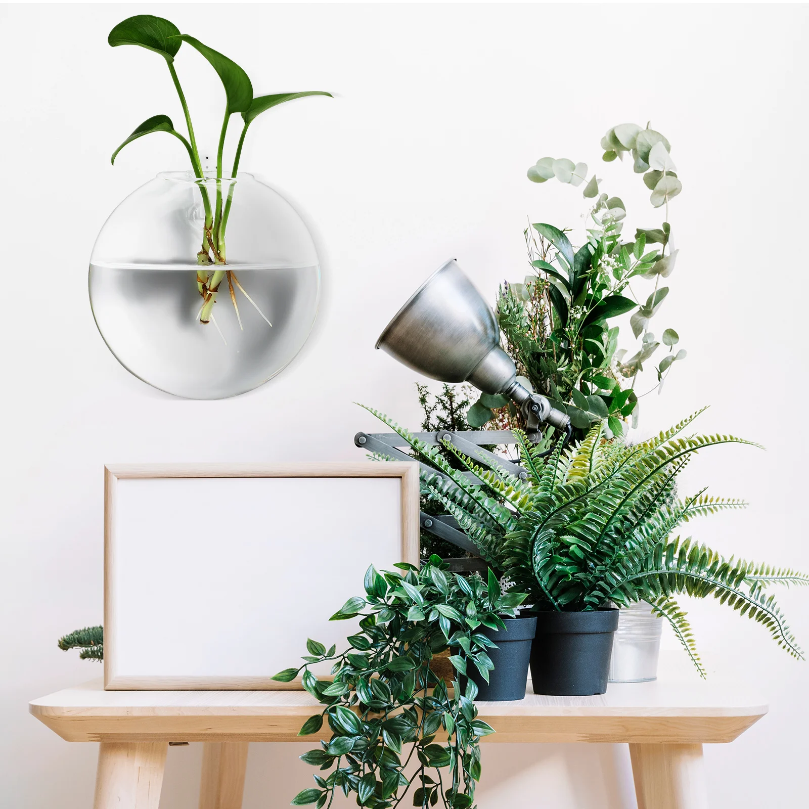 

4Pcs Clear Glass Wall Vase Hanging Flower Pot Set Modern Space-Saving Planter for Hydroponics Plants Decorative Pebbles Home