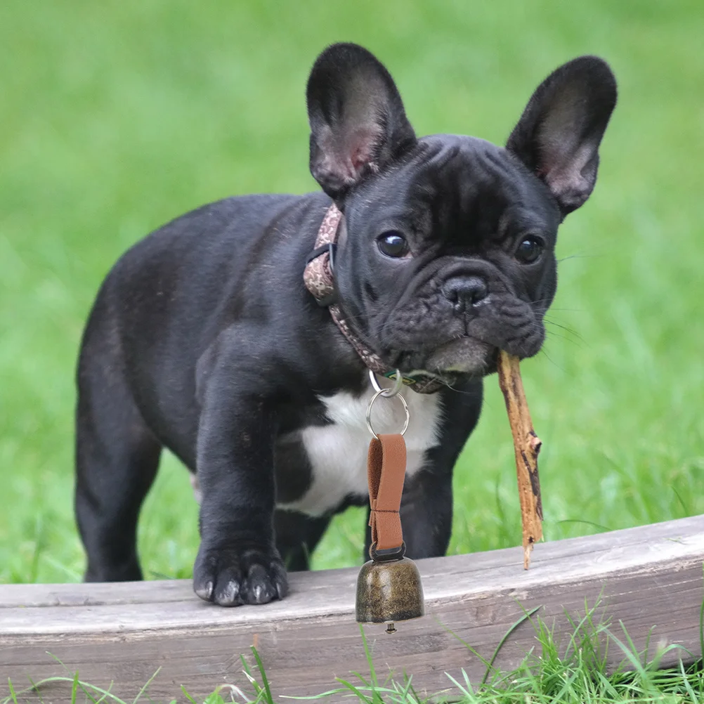 

6Pcs Bear Outdoor Copper Bells Vintage Style Loud Clear Sound Anti-Lost Pet Camping Bell for Dogs Cattle Sheep Hiking