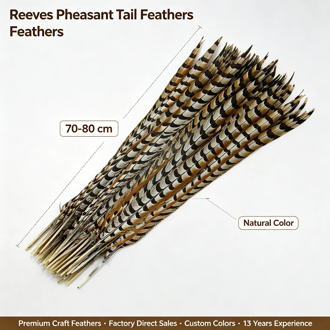 ZPDECO Reeves Pheasant Feathers Long 70-80cm (28-32 Inch) Home Decor Feathers for Creative Home Decorations