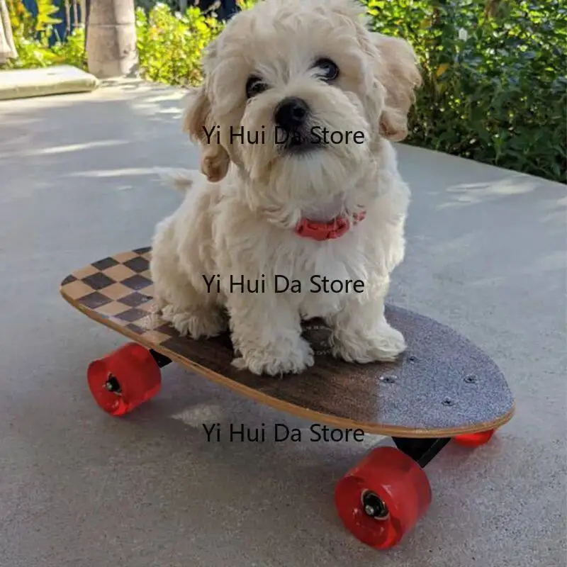 high-value-pet-skateboard-french-dog-yingdou-dog-professional-fishboard-skateboard-schnauzer-corgi-dog