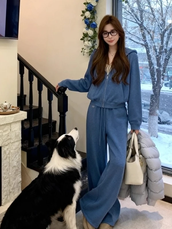 

Комплект Laid-ba: толстовка на молнии с капюшоном и широкие брюки, женский повседневный костюм из двух предметов, синий, удобный крой, модный комплект