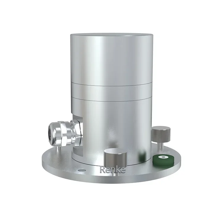2025 Renke Long Range 290-390 nm Ultraviolet Rays Monitoring Waterproof UV Radiation Sensor Detector