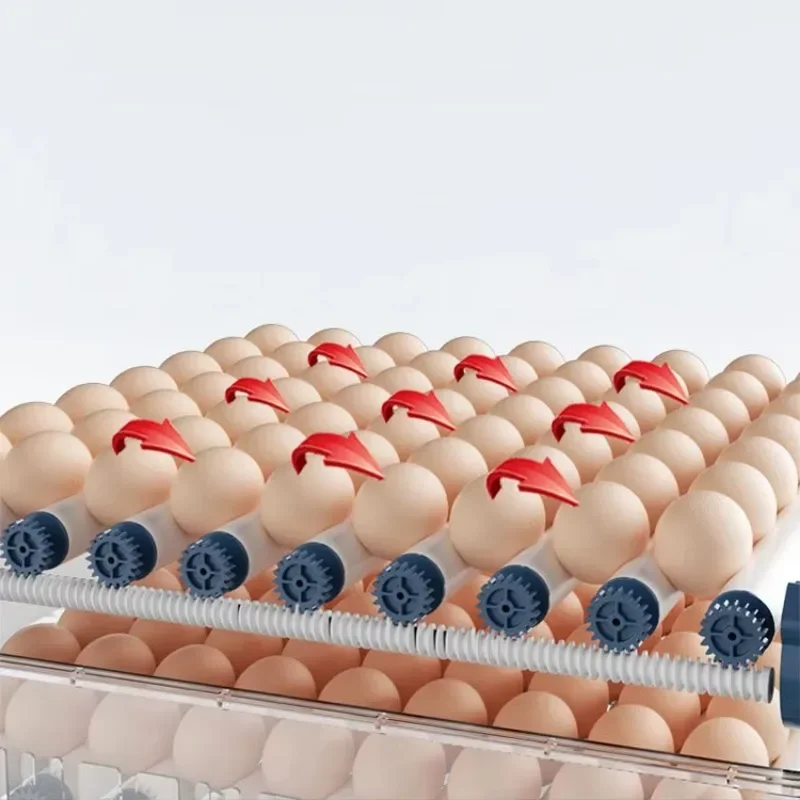 Poultry Farm Industrial Egg Incubator