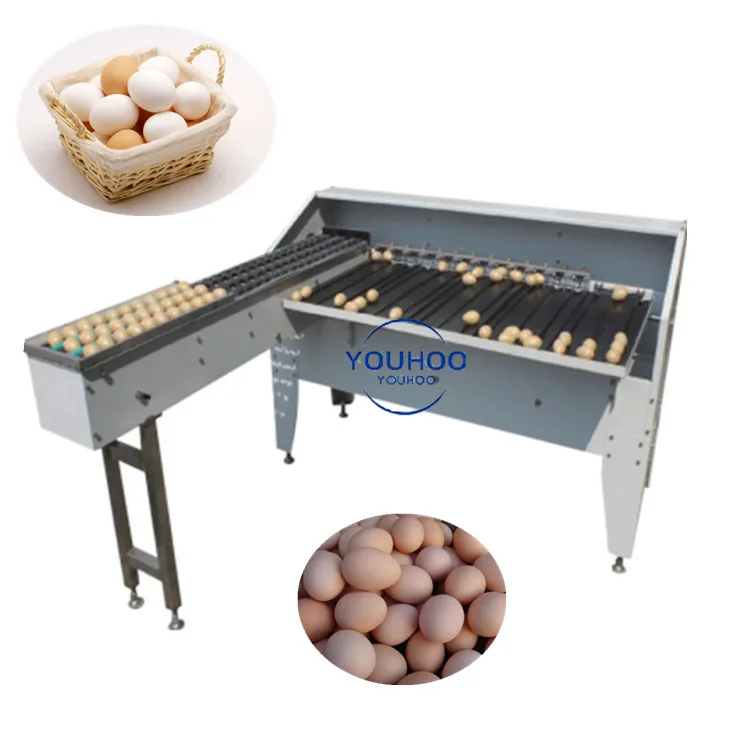 220v/380v automatic egg classification machine egg grader machine with low price