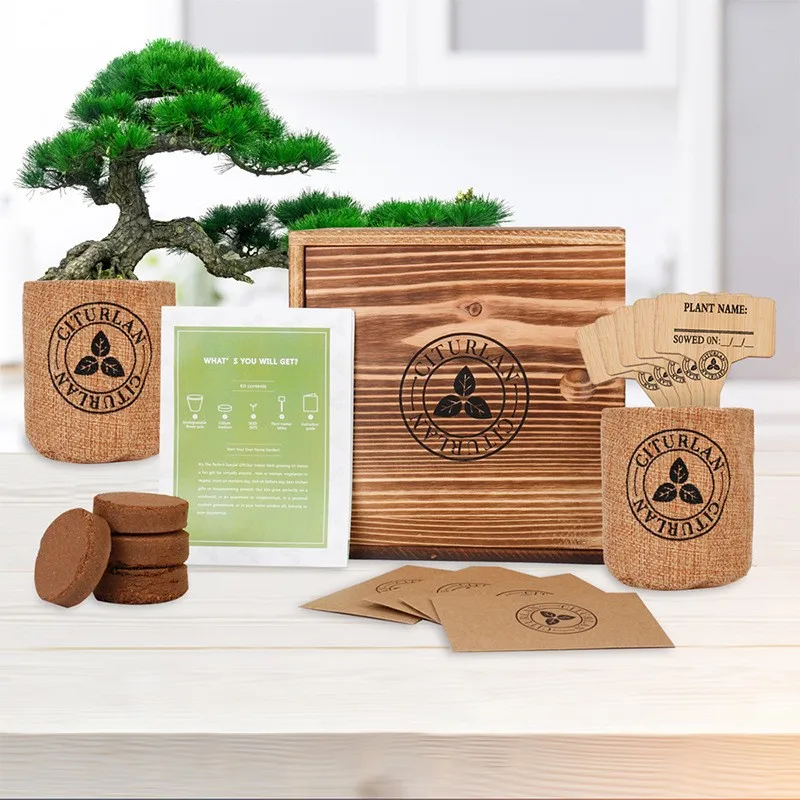 Cross-Border Biodegradable Wooden Seed Set Creative Plant Growth Gift Box for Children and Adults Factory Direct Sales Wholesale