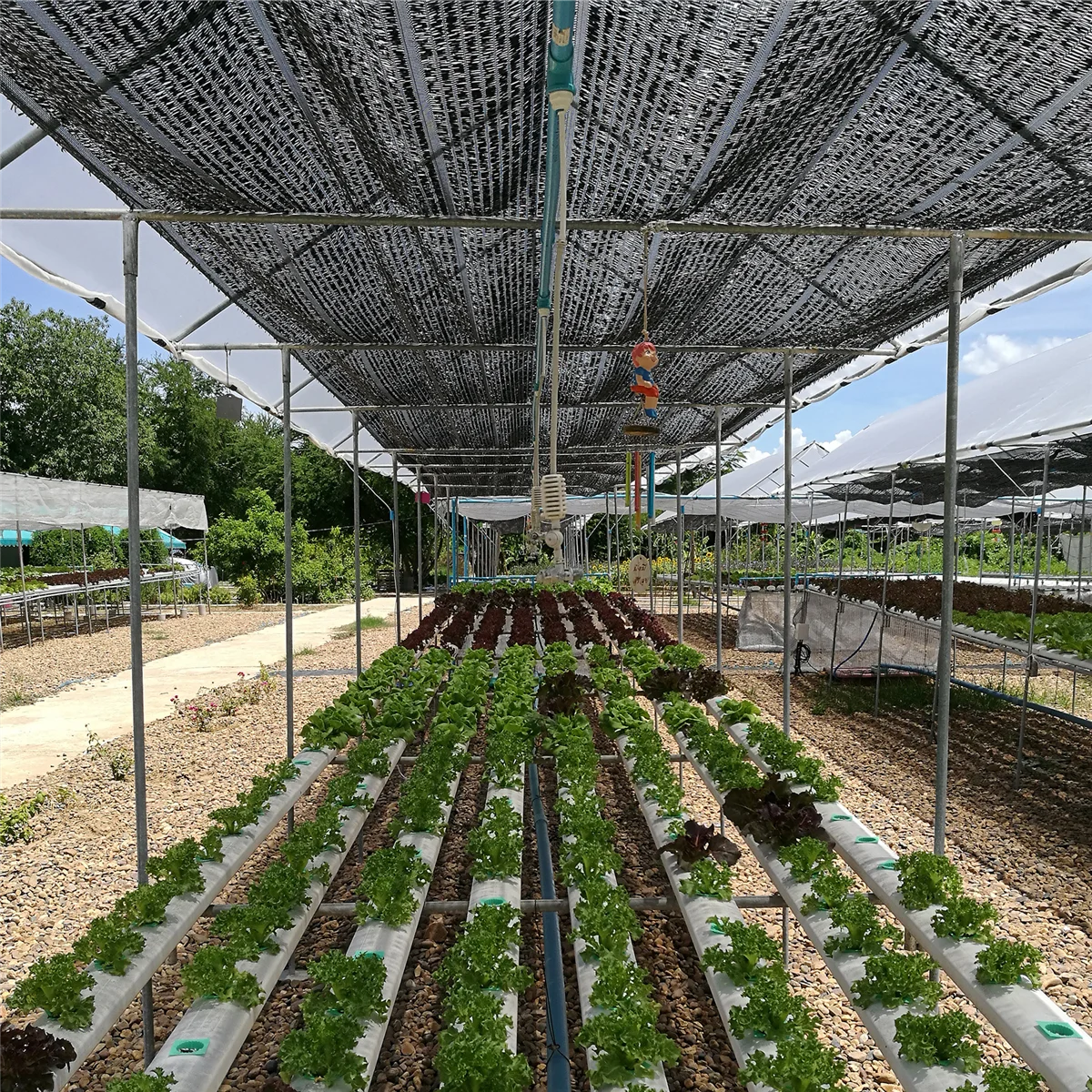 HHTL Sun Mesh Sunblock Outdoor Garden Anti-Uv Sunscreen Shade Sails Sunblock Shade Cloth Net For Plant Greenhouse Car 2x3M