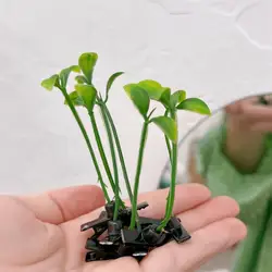 Divertenti fermagli per capelli in erba germogli di soia perni per capelli germogli di soia fiore pianta fermaglio per capelli Barrette pianta erba tornante accessori per lo Styling