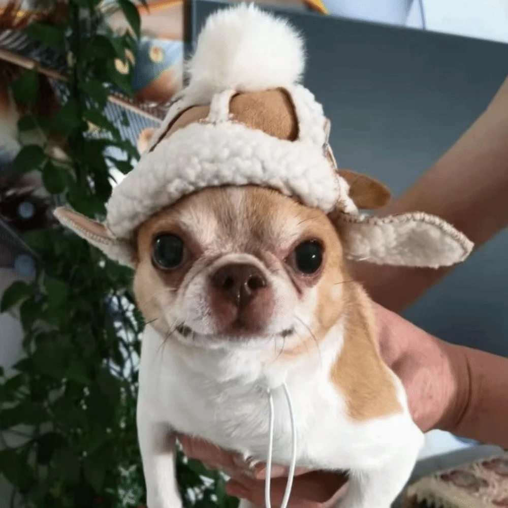 

Fashion Warm Cat Flying Hat Lamb Fur with Ear Hole Windproof Dog Cap Windproof Fluffy Dog Hat Outdoor Activities