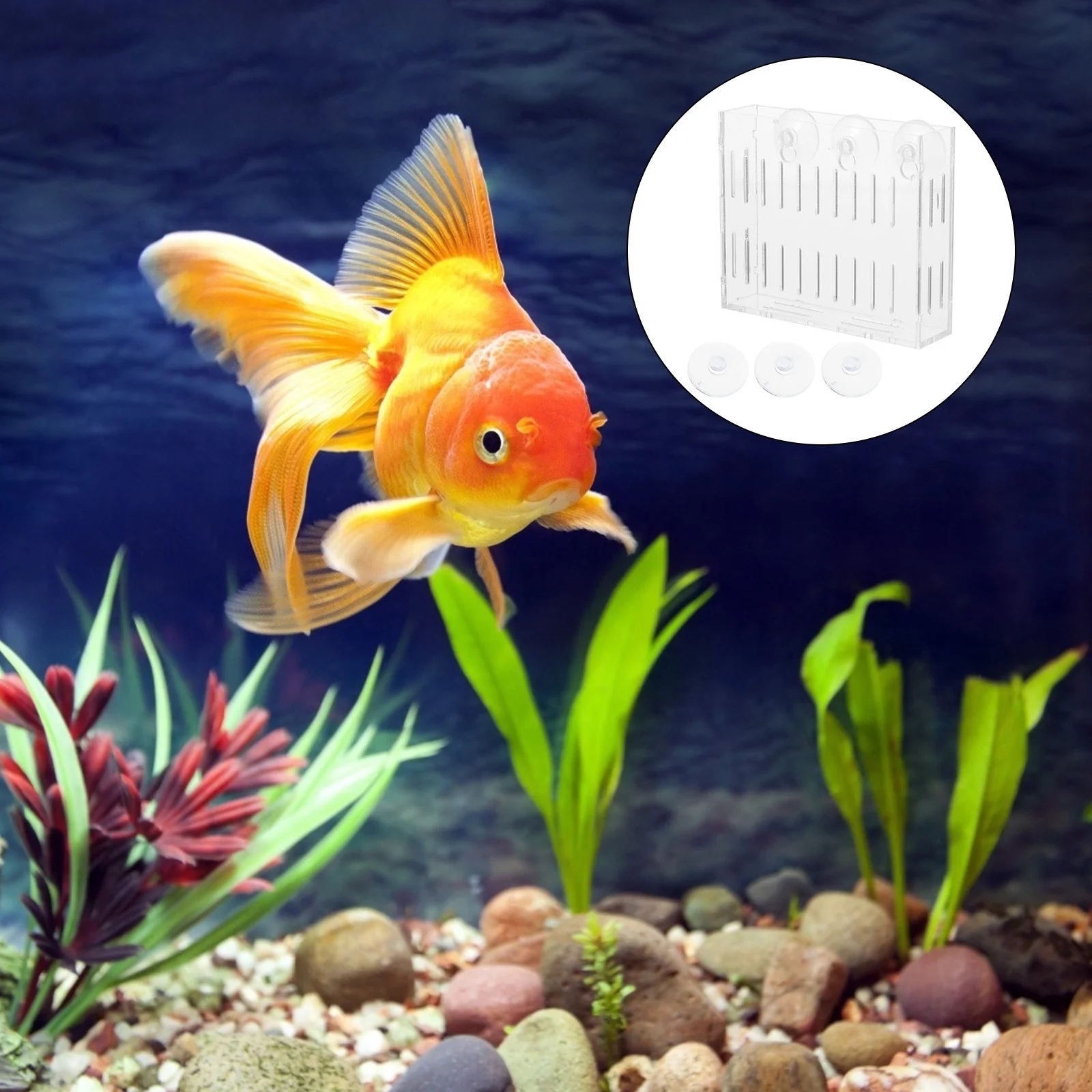 

Clear Acrylic Mini Aquatic Plant Pots For Fish Tank Landscape Water Plant Holder With Double Suction Cups