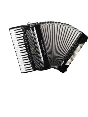 Music Introduction Adult Professional Instruments 48 Bass 60/96/120 Children Beginners Accordion