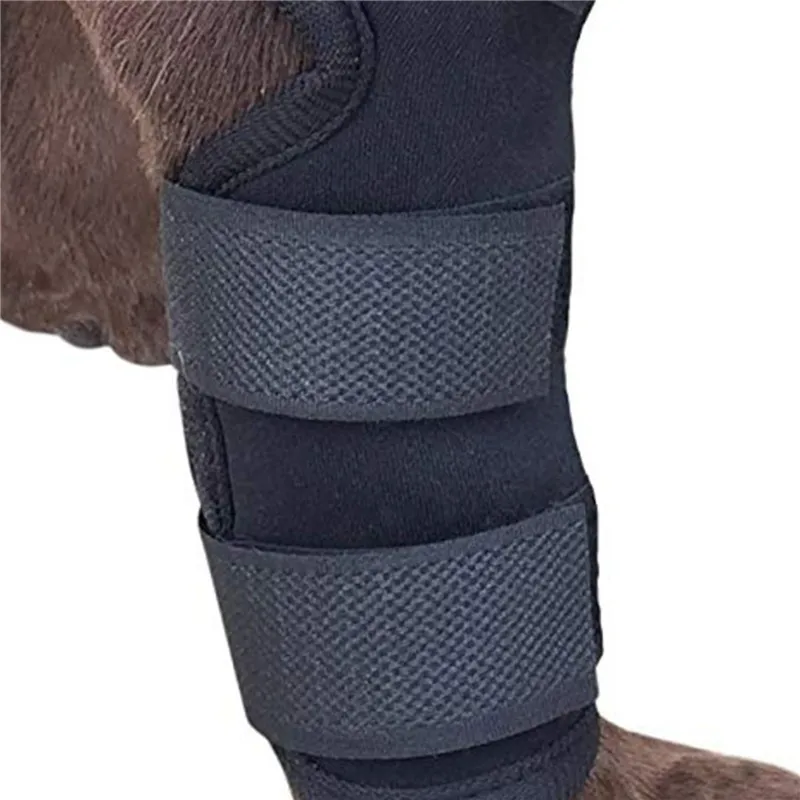 New 1Pair Pet Protectors Dog  Support Brace For Leg Protectors Instep Leg Protectors Thai Boxing Pet Leg Protectors