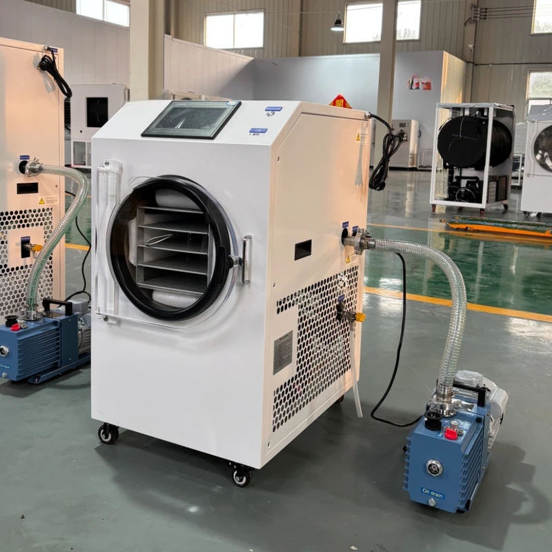 Household Fruit And Vegetable 1KG-6KG - High-Efficiency Automatic Freeze-Drying Machine With Pump For Food Processing