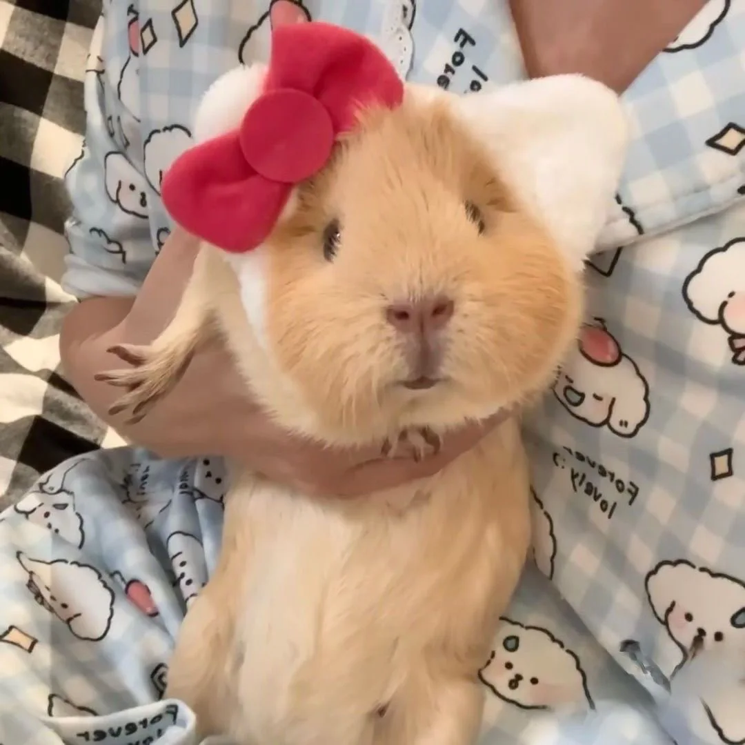 Simpatico ciondolo con fascia KT in peluche, ciondolo con borsa di nicchia, decorazione da appendere allo zaino, bambola, portachiavi