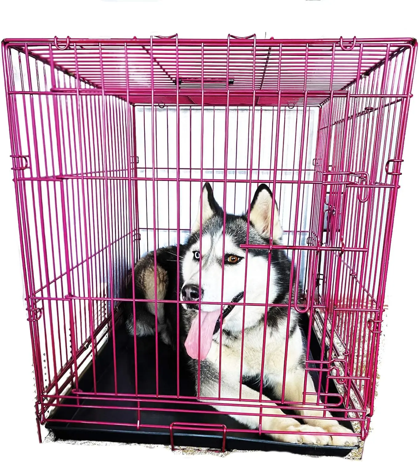 PET Expressions Luxury Colorful 36 Inch Foldable Dog Crate with 2 Doors | Free Training Ebook and Pet Calming Music | 3 Colors &